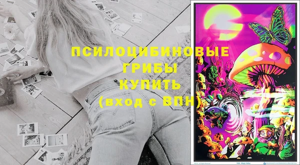 кокс Баксан