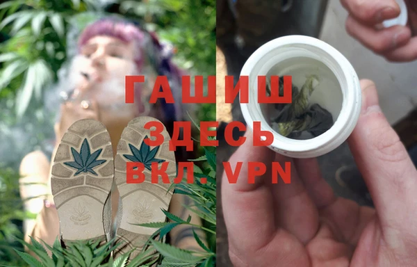 прущие грибы Козловка