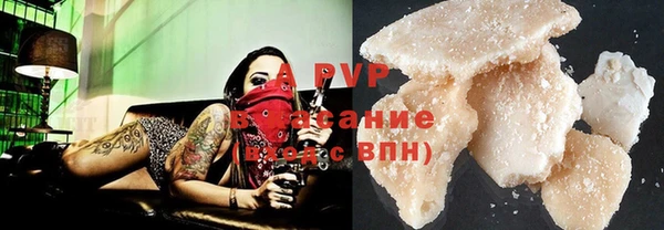 гашик Балахна