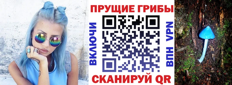 кракен Бузулук Галлюциногенные грибы GOLDEN TEACHER